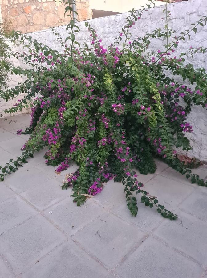 Arodafni House. Unique Views And Amazing Sunsets. Kouklia Exterior foto